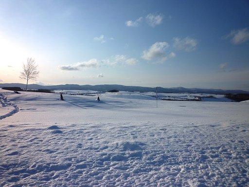 【やすらぎ】雪景色