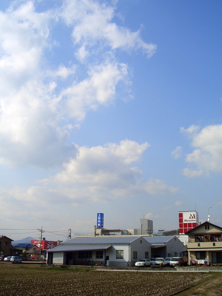 晴れました