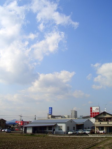 晴れました