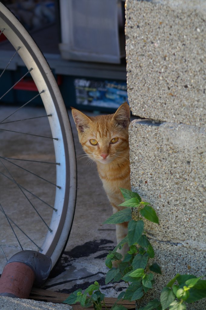 【鉄】車輪の下　