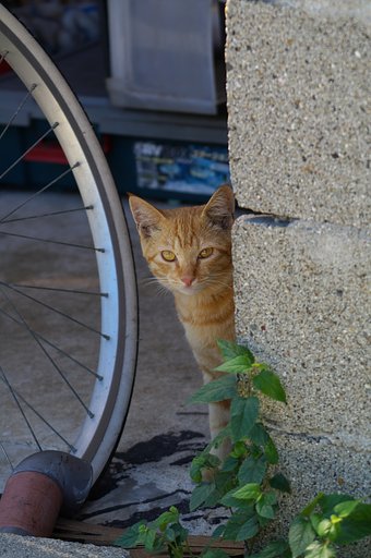 【鉄】車輪の下　