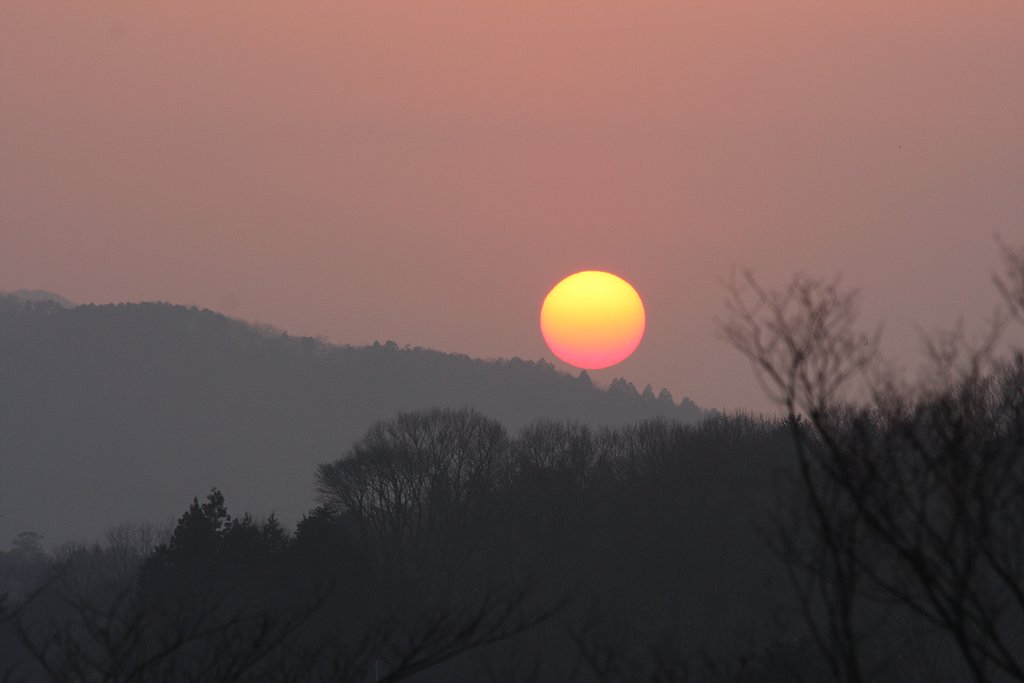 早春の夕日