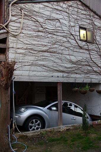 おっ入っている