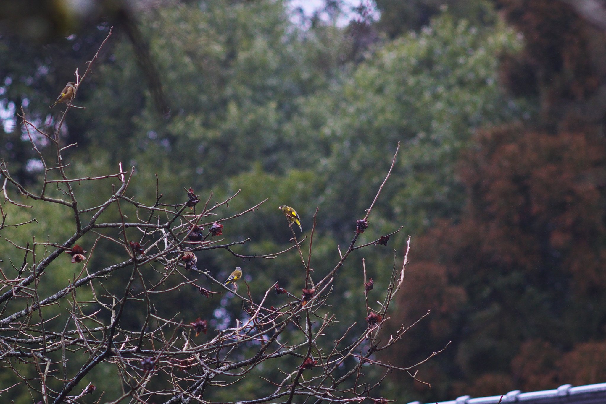 家の入り口辺りで