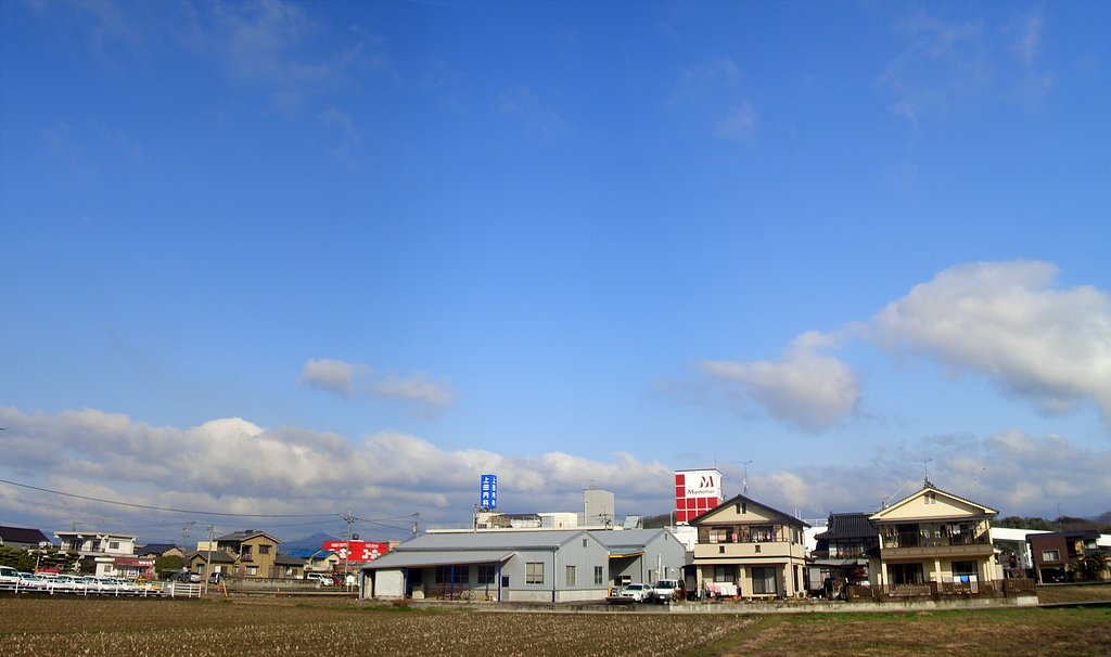 晴れました