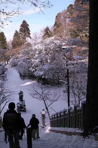 【凛】雪の境内