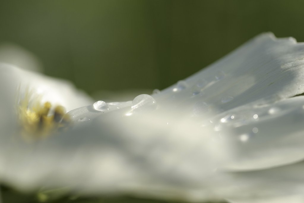 水晶