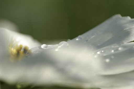 水晶