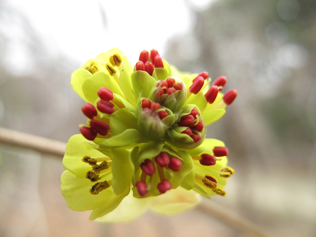 むむむ・・・