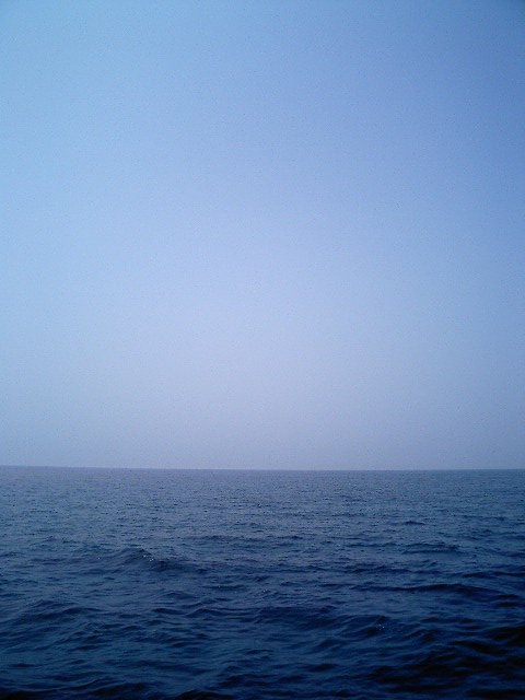 三浦半島沖