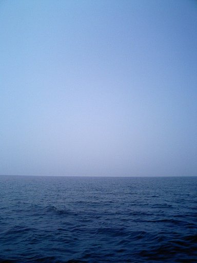 三浦半島沖