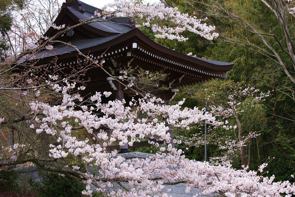 花と鐘楼