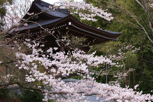 花と鐘楼