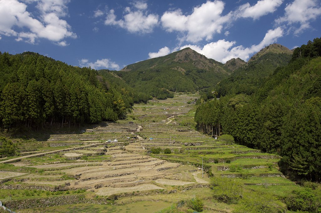 田植えを待つ