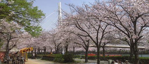 【桜】桜日和だったなあ