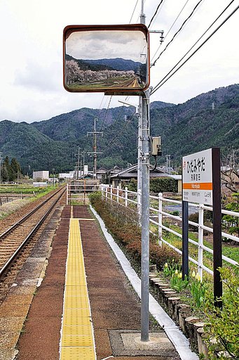 【桜】めぐり③