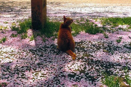 調節。