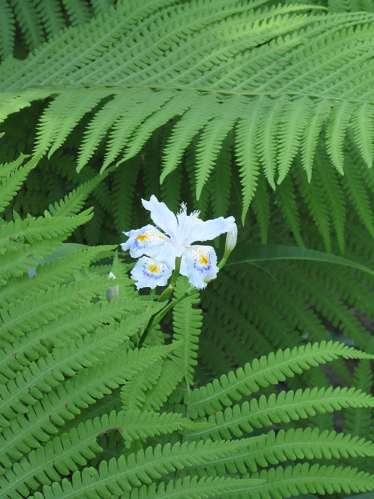 静