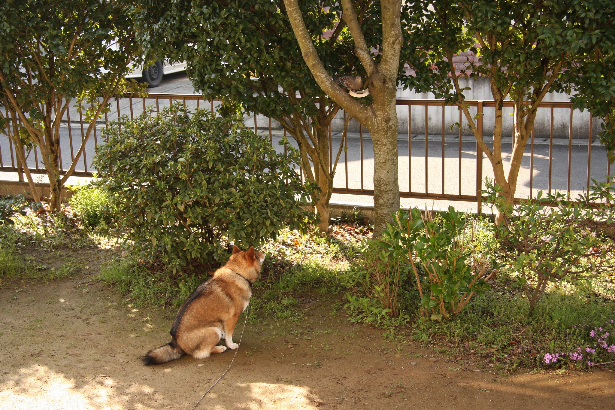 私にも頂戴