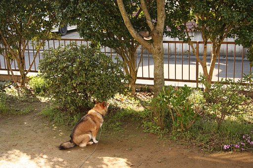私にも頂戴