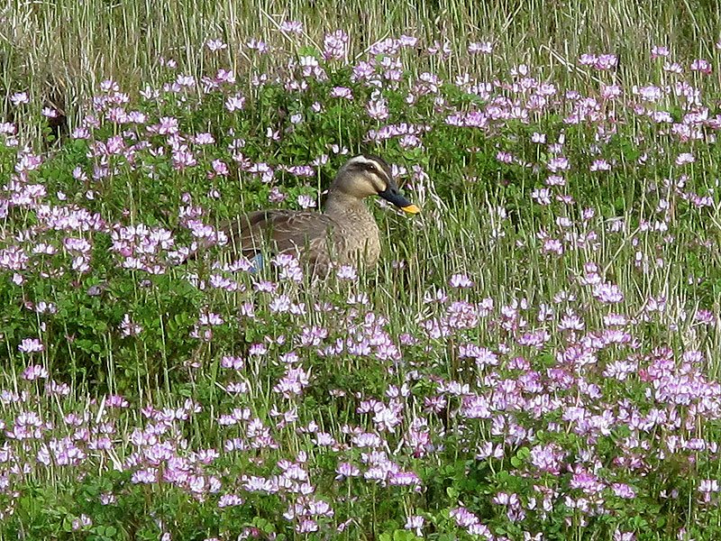 春の一日