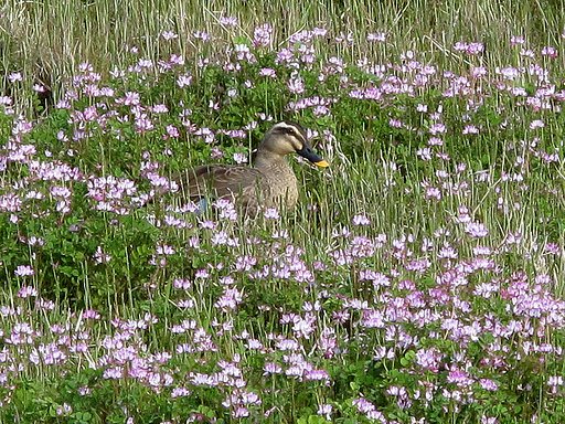 春の一日