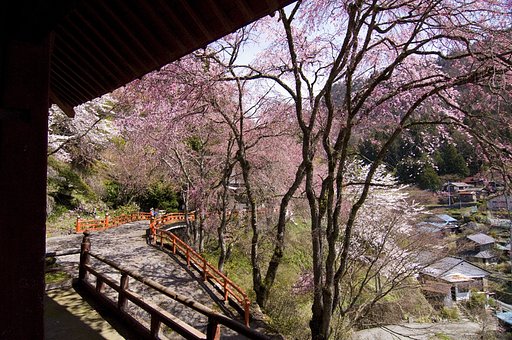日本の風景　2