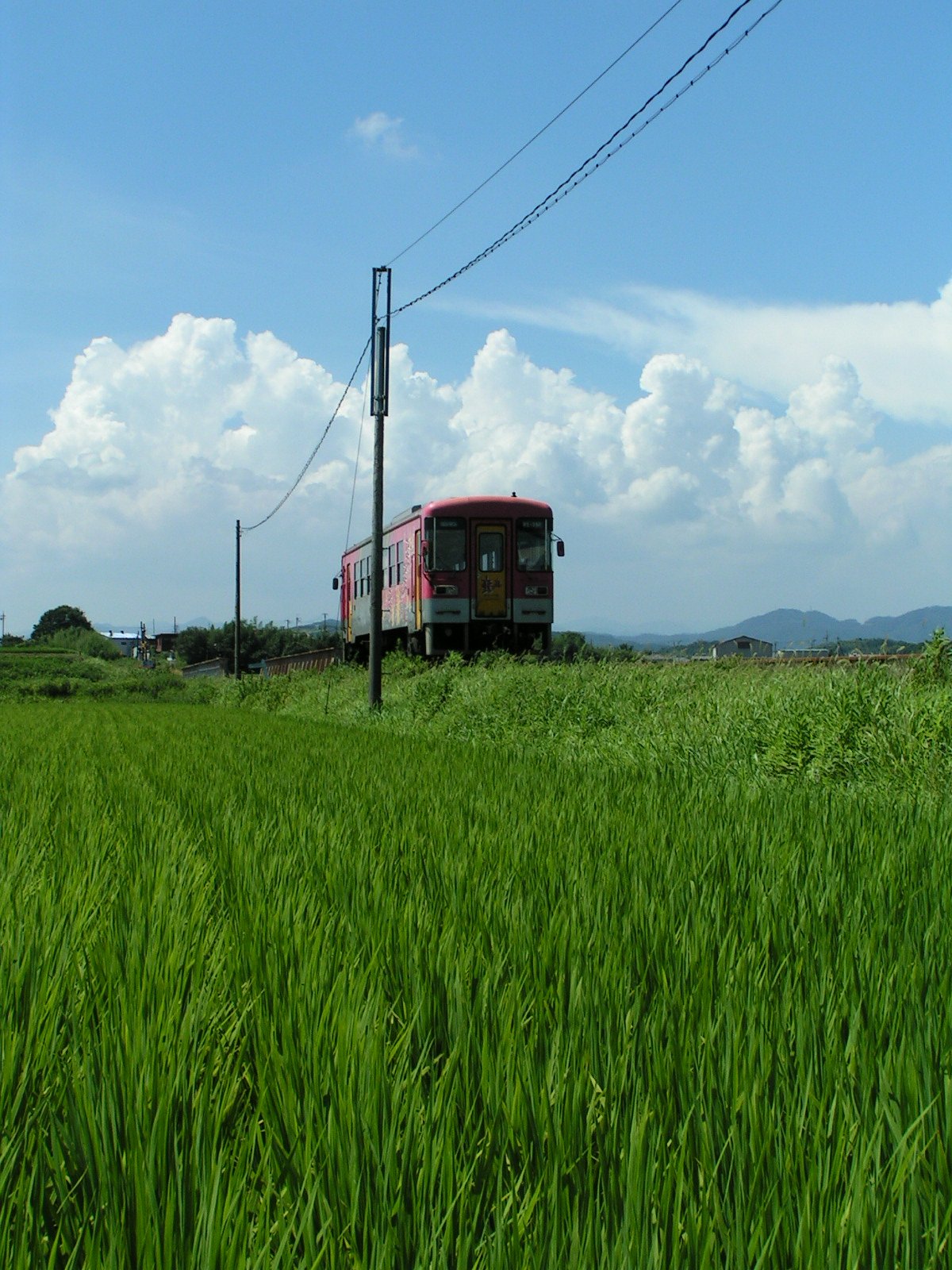 緑の野のワンマンカー
