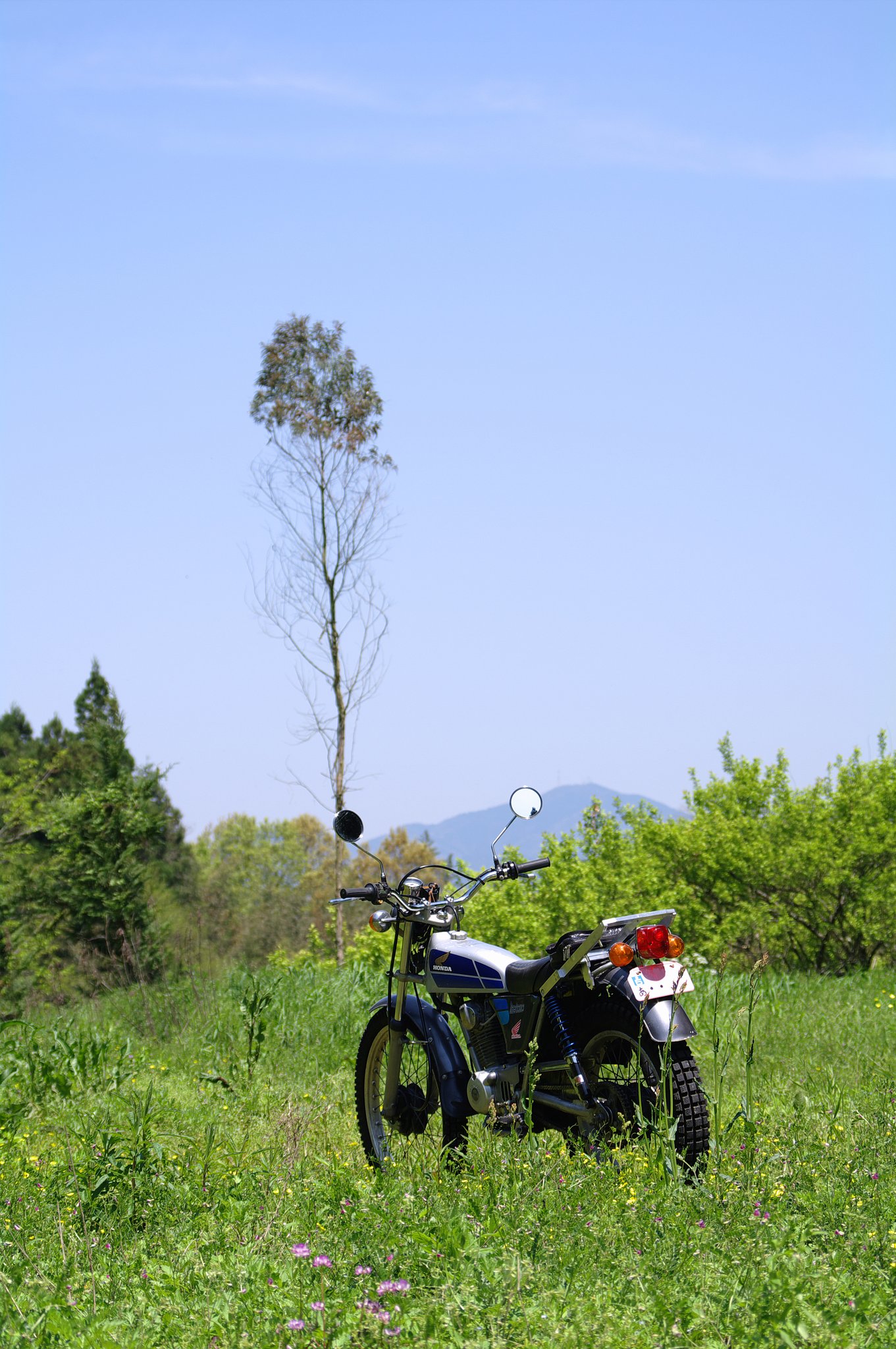 初乗り
