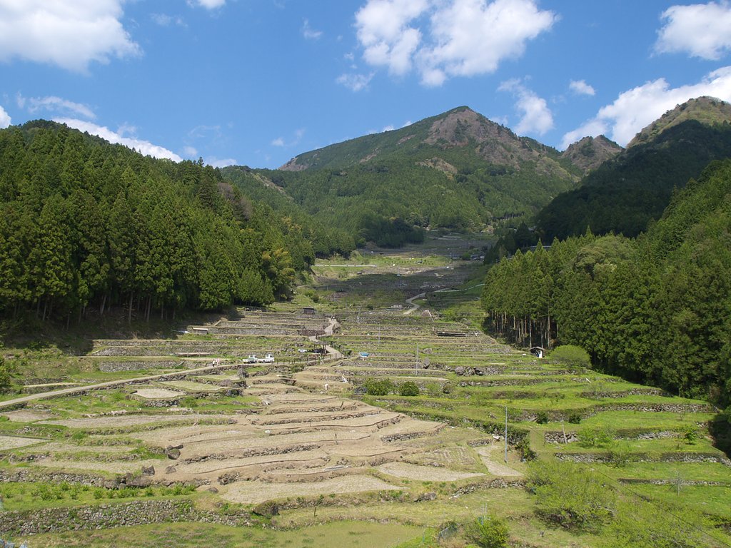 田植え待つ棚田