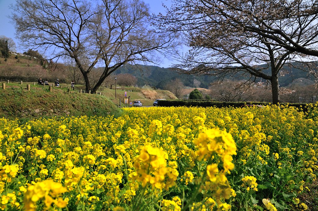 明日香村（奈良県）