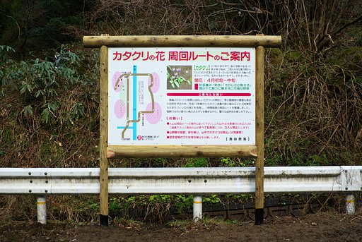 カタクリ観光コースの看板