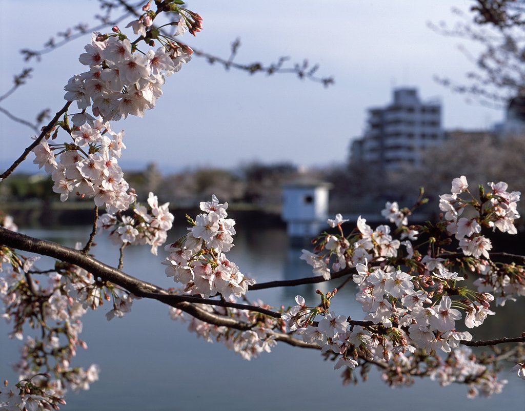 smc PENTAX 67 1:2.8 165mm