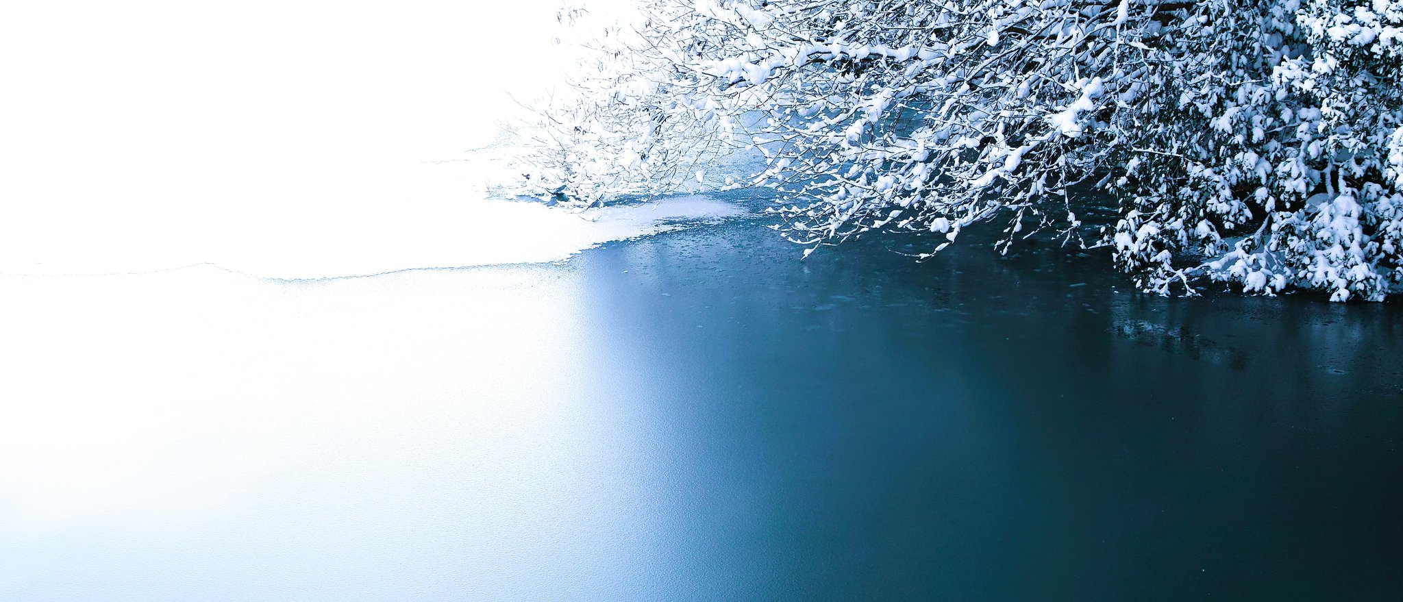 雪