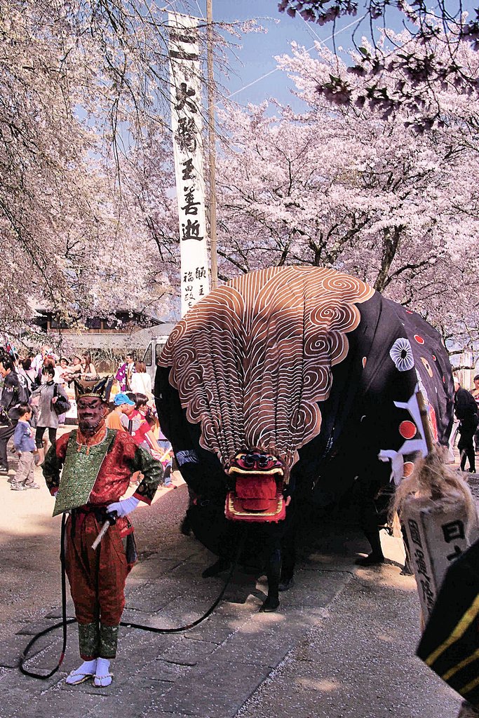 【桜】獅子舞