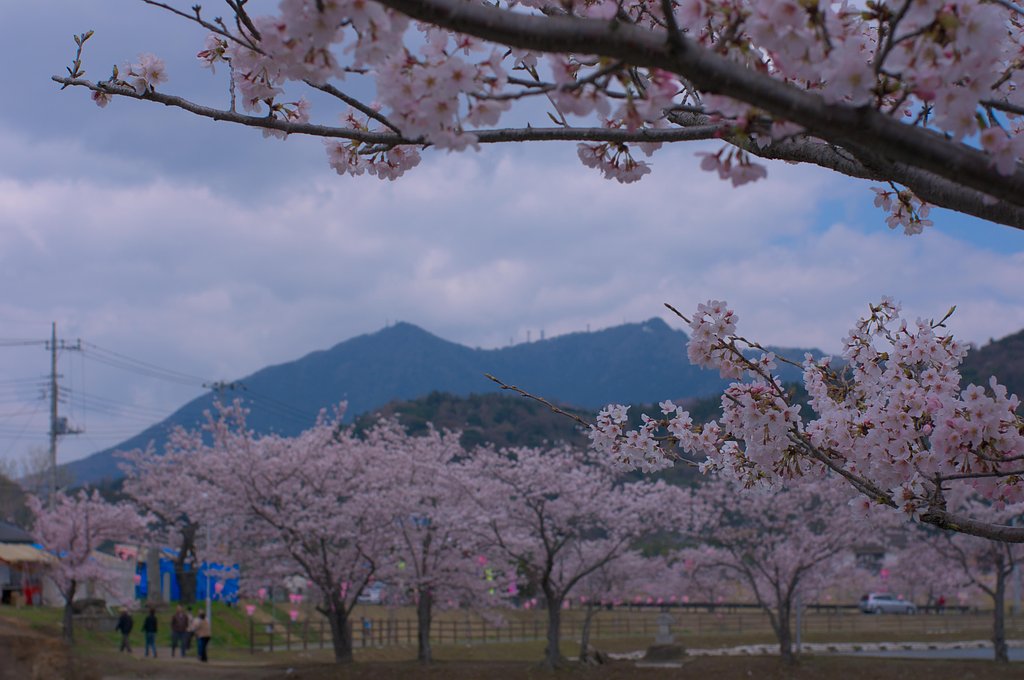 筑波山お膝元・・・