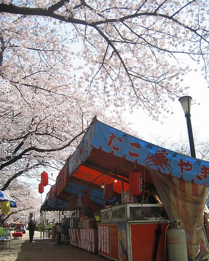 【桜】さぁー花見はなみ！