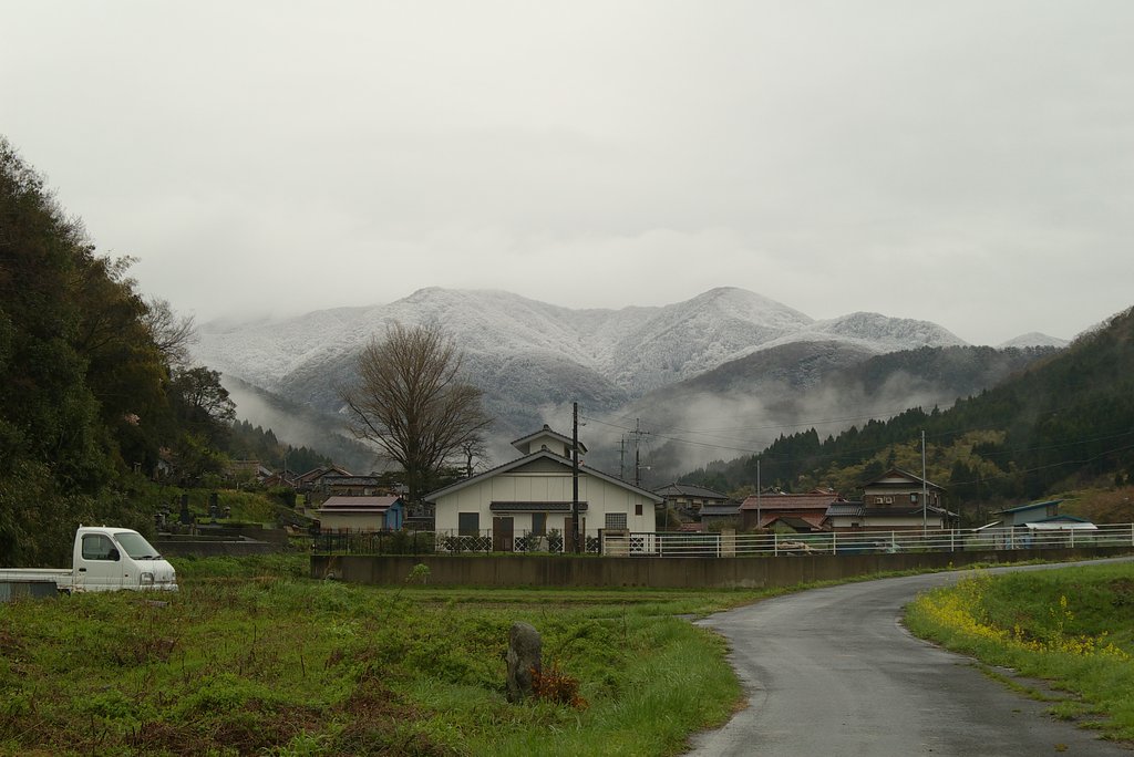 春の雪が!