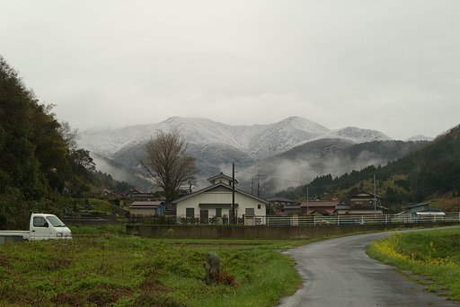 春の雪が!