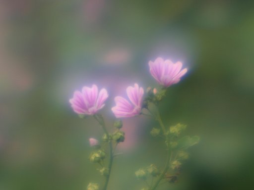 ご感想聞かせてください。