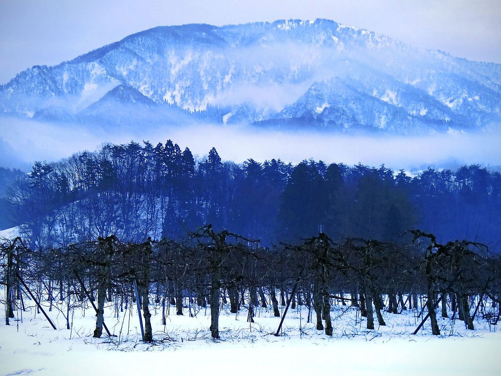 雪のち雨、日暮れ