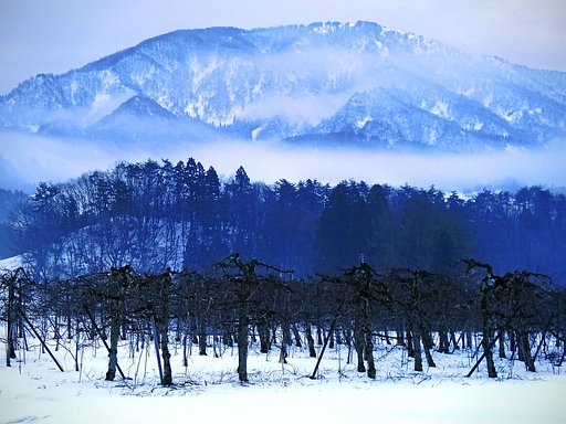 雪のち雨、日暮れ