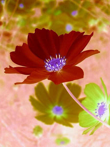 COSMOS 　Ver2