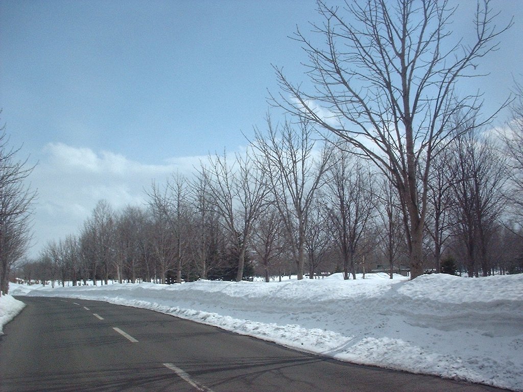 冬の公園