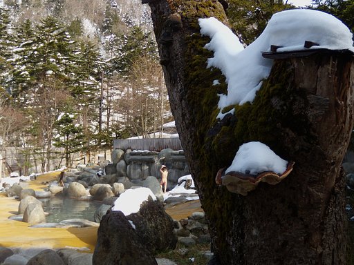 平湯にて雪見風呂・・・