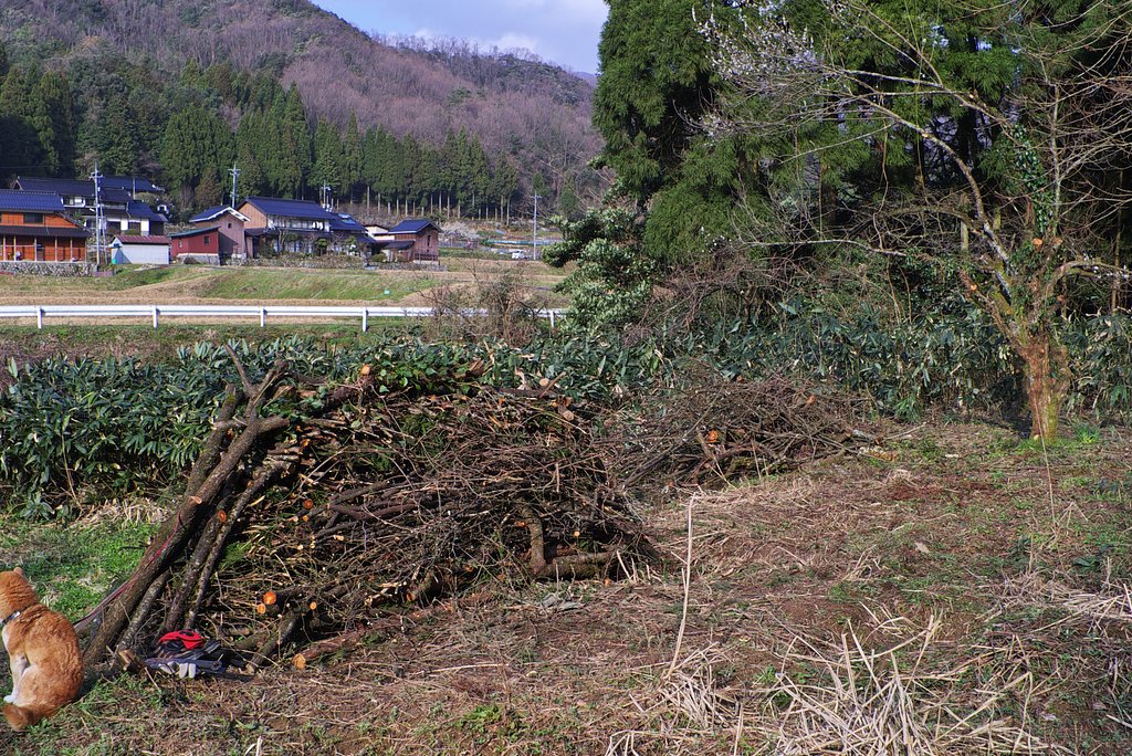 田舎の景色!