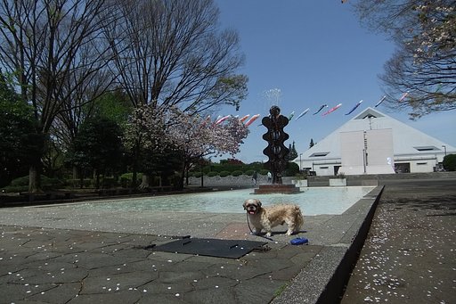 暫くぶりでいい天気！