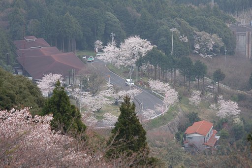 春霞