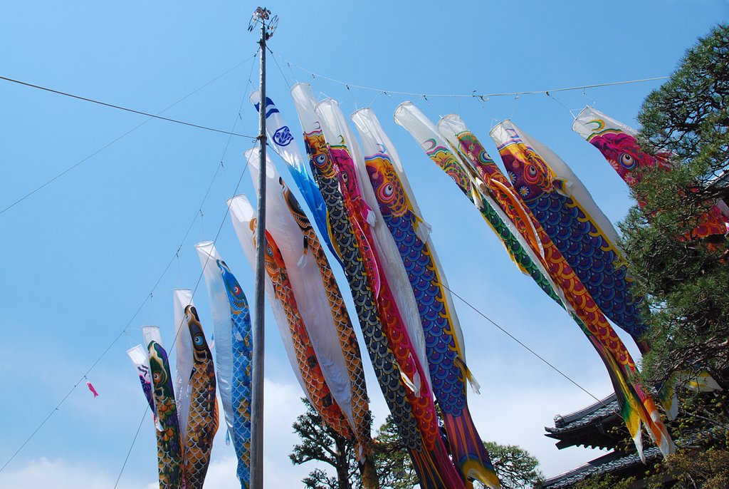 五月晴れ