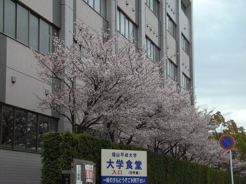 花見酒は？